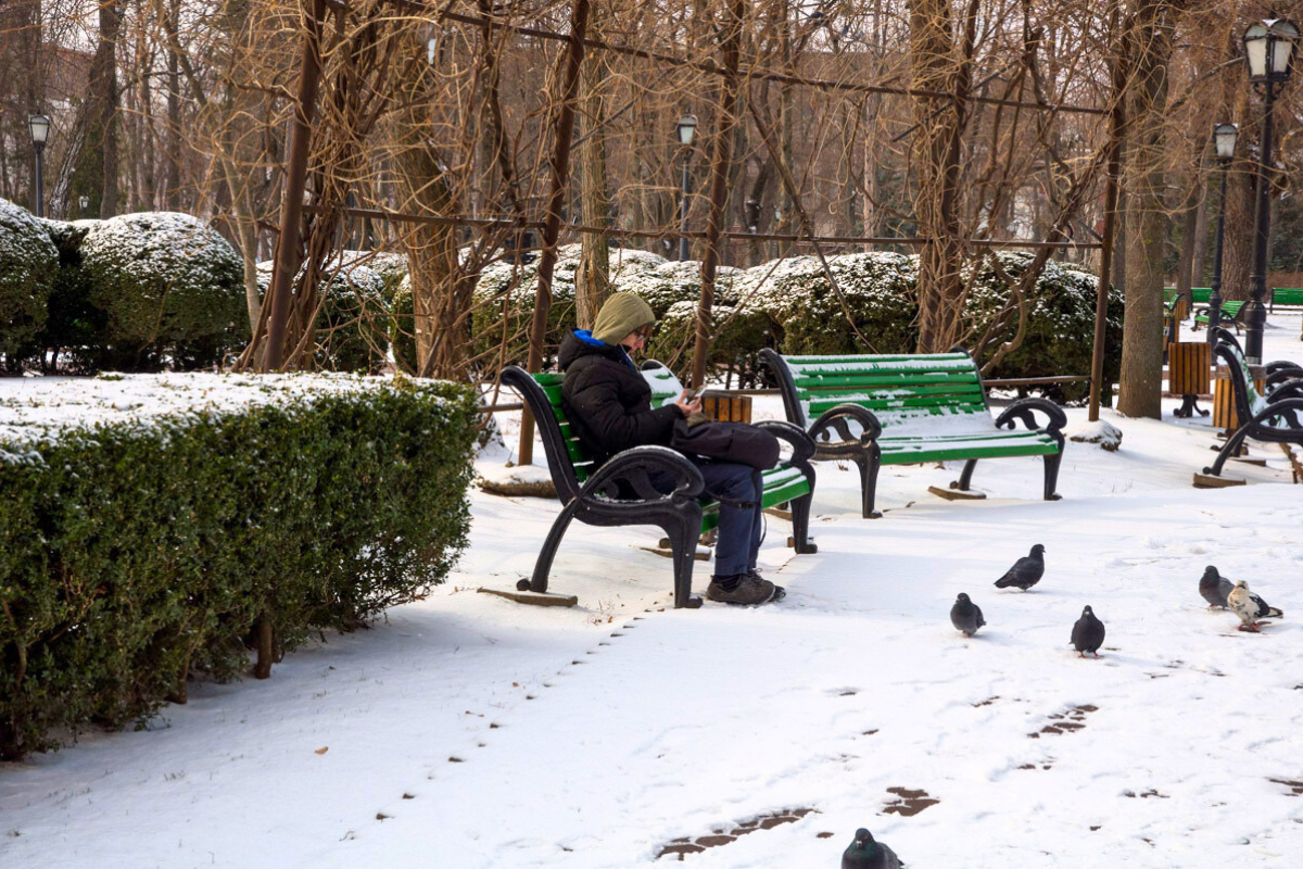 Безработные в Молдове могут получить деньги на открытие собственного бизнеса
